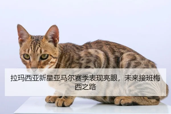 la-ma-xi-ya-xin-xing-ya-ma-er-sai-ji-biao-xian-liang-yan-wei-lai-jie-ban-mei-xi-zhi-lu-2-399.jpg
